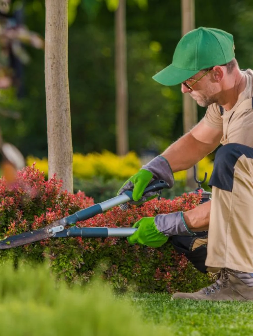 Débroussaillement dans la Manche